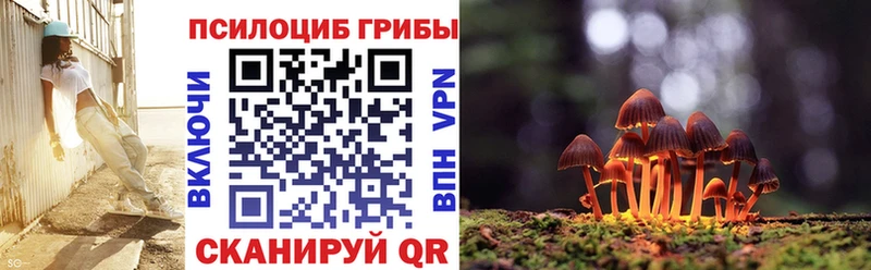 закладки  Новороссийск  Галлюциногенные грибы прущие грибы 